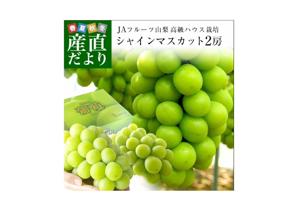 【限定3名さま】山梨県産シャインマスカット 大房2房