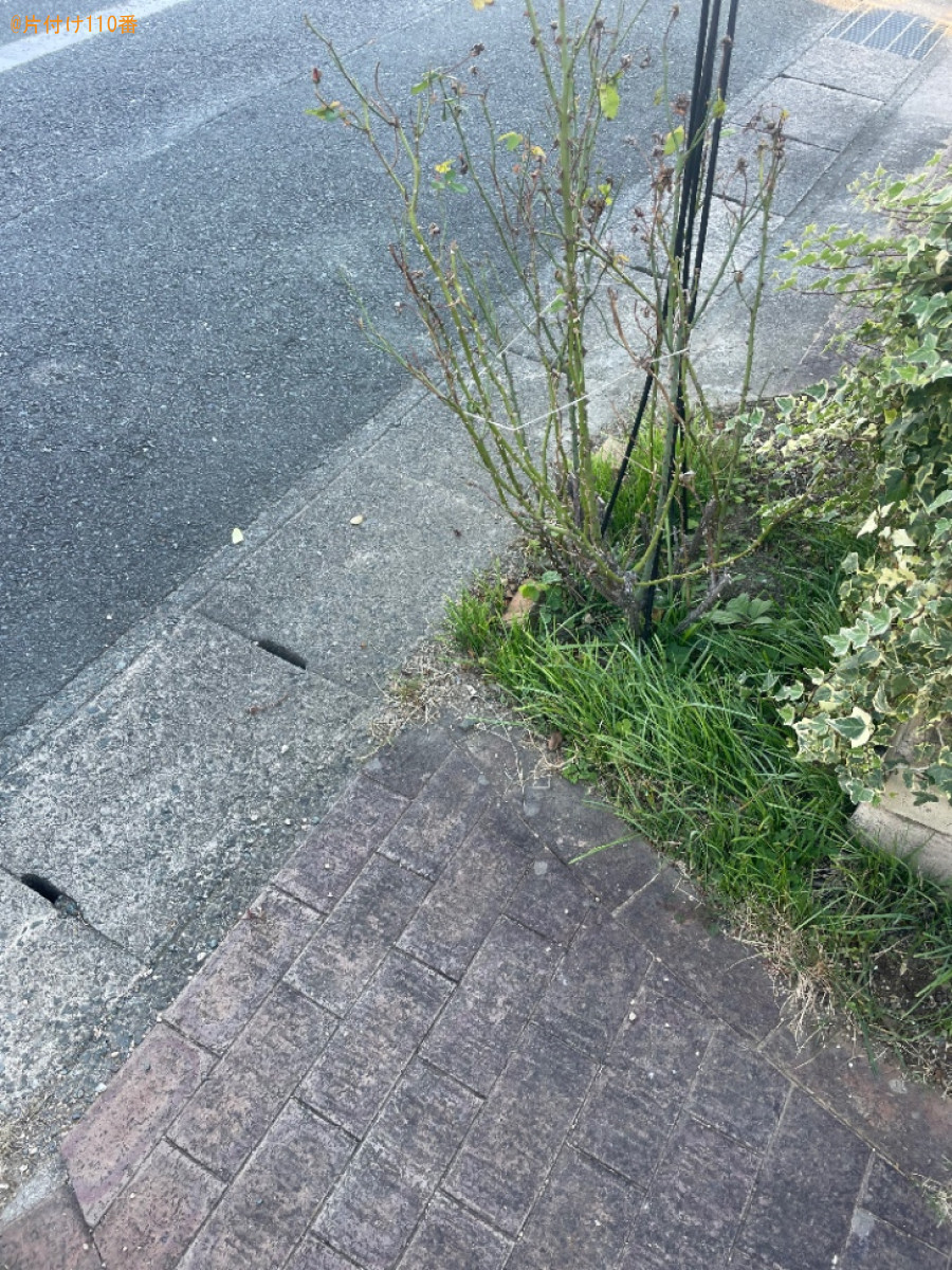 掃除機、マットレス、ダンボール、クッション、小型家電等の回収