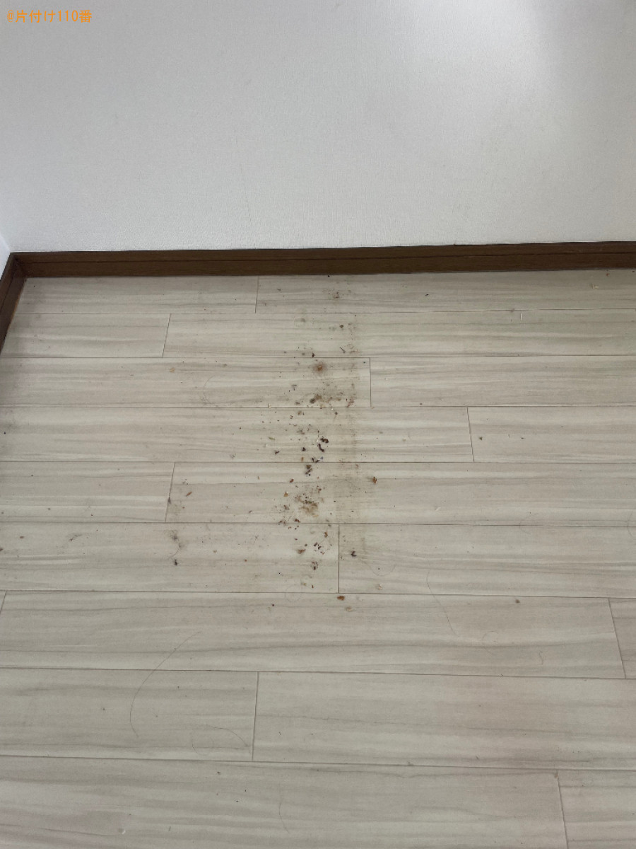 フローリング洗浄とワックス仕上げ、壁紙クリーニングご依頼