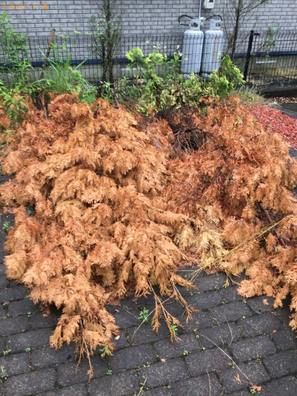 布団、扇風機、こたつ、ゴミ箱、観葉植物、ボール、草等の回収・処分